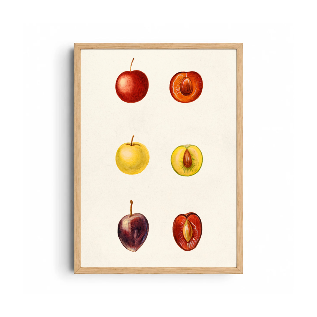 Kitchen Wall Art 11
