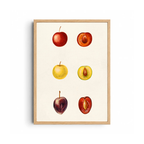 Kitchen Wall Art 11